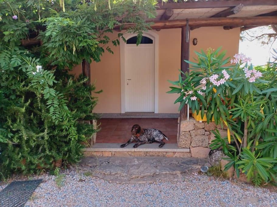 Suite Mirialveda San Pantaleo Buitenkant foto